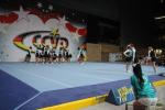 12  Loony Dolphins Cheerleader
